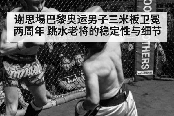 谢思埸巴黎奥运男子三米板卫冕两周年 跳水老将的稳定性与细节（jiuyouhui）